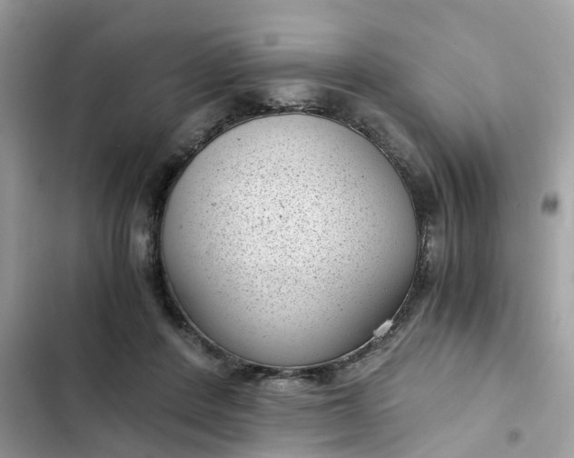 X0000102340408200808151732