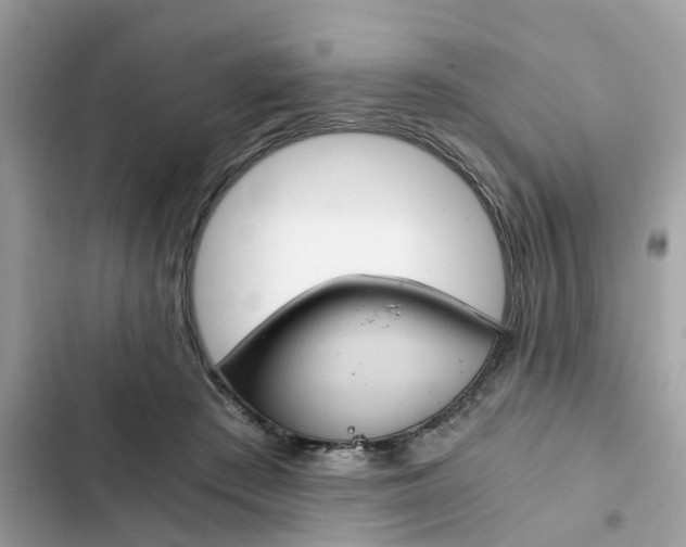 X0000102340409200808151732