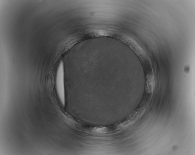 X0000102340410200808151732