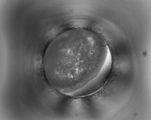 X0000102340411200808151732