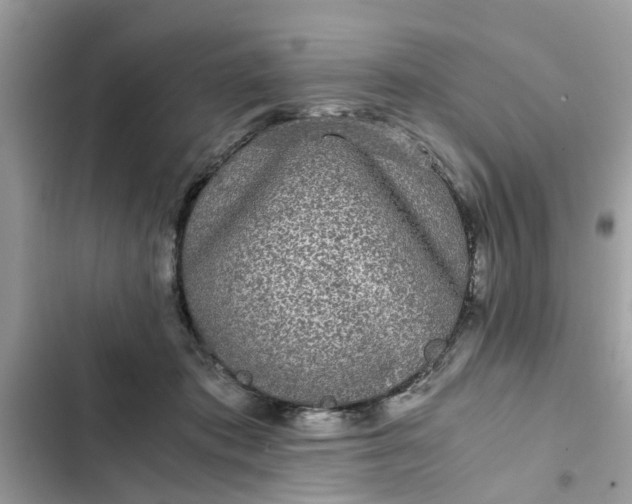 X0000102340413200808151732