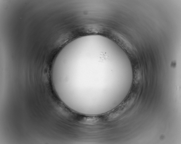 X0000102340414200808151732