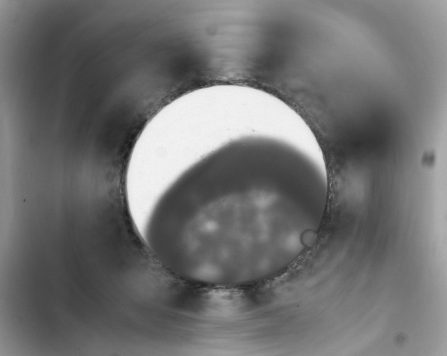 X0000102340415200808151732