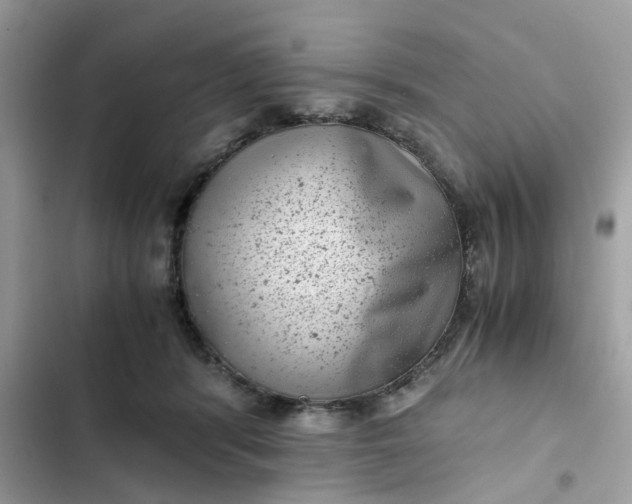 X0000102340416200808151732