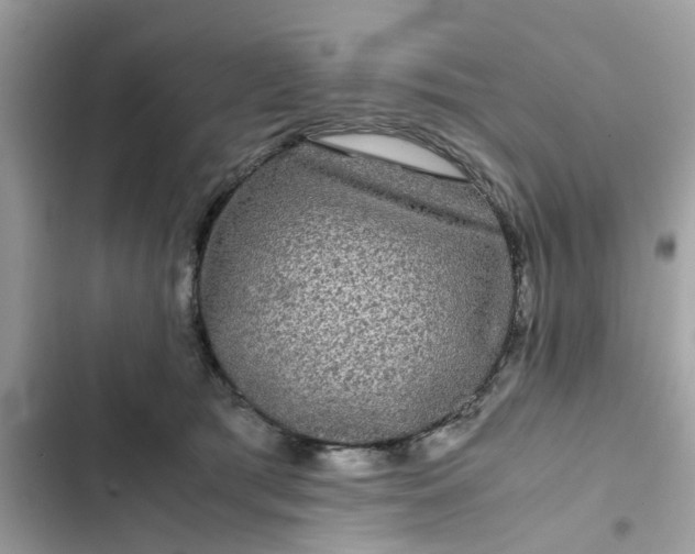 X0000102340417200808151732