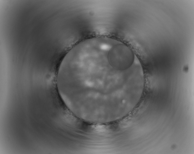 X0000102340419200808151732