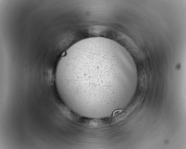 X0000102340420200808151732