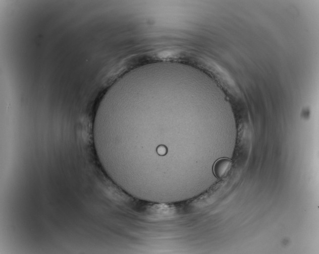 X0000102340421200808151732