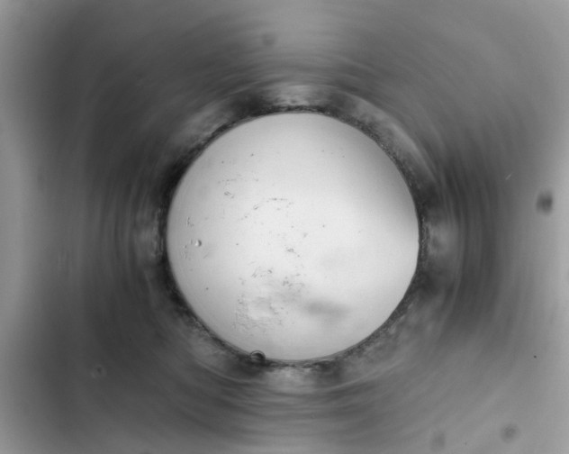 X0000102340422200808151732