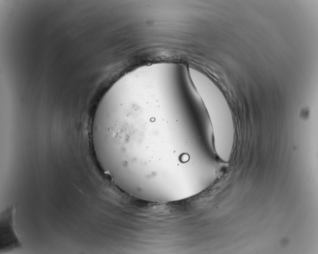 X0000102340423200808151732