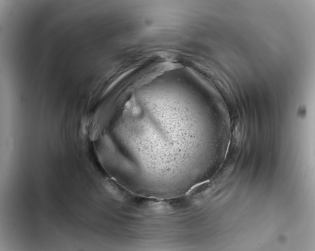 X0000102340424200808151732