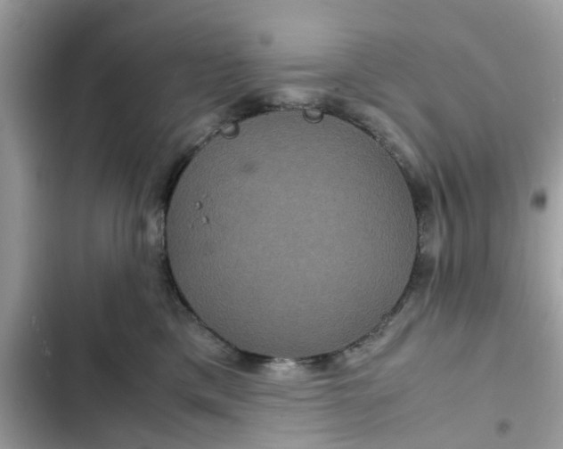 X0000102340425200808151732