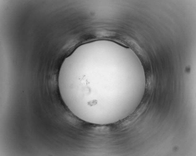 X0000102340426200808151732