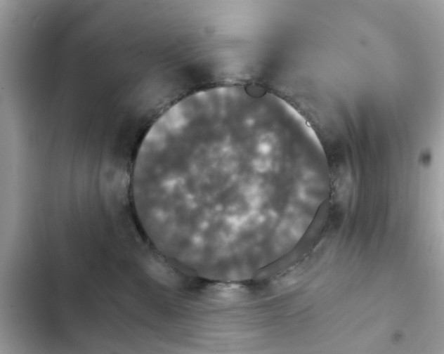 X0000102340427200808151732