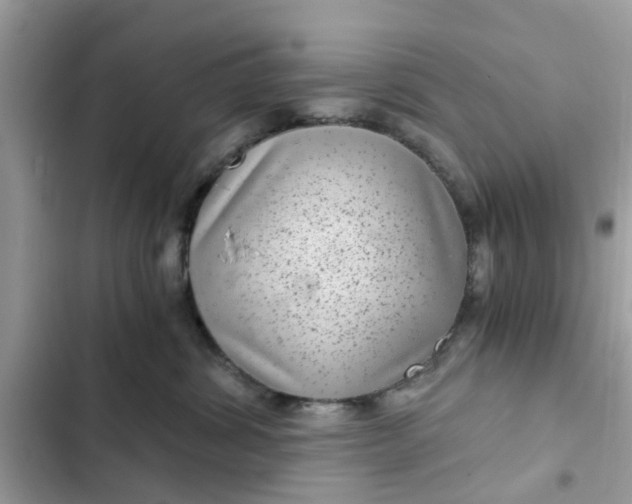 X0000102340428200808151732