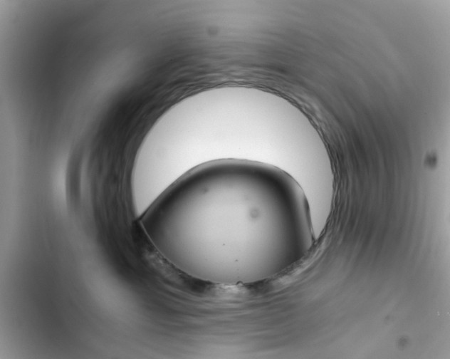 X0000102340429200808151732