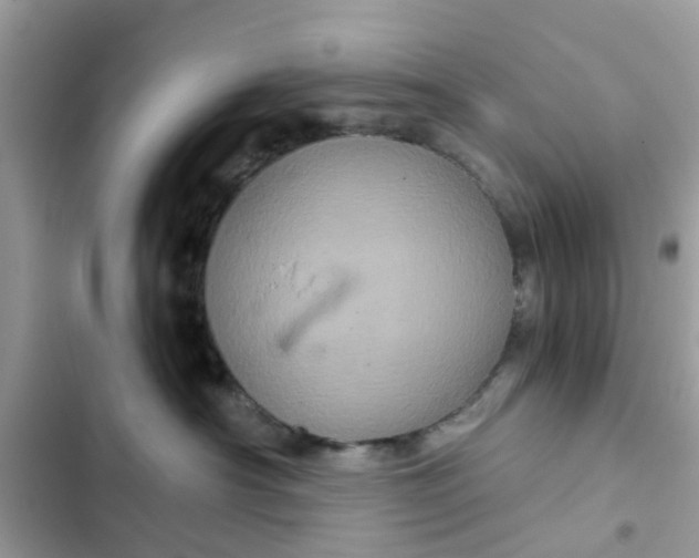 X0000102340430200808151732