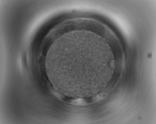 X0000102340431200808151732