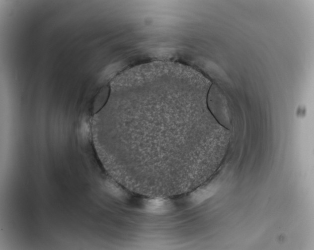 X0000102340432200808151732