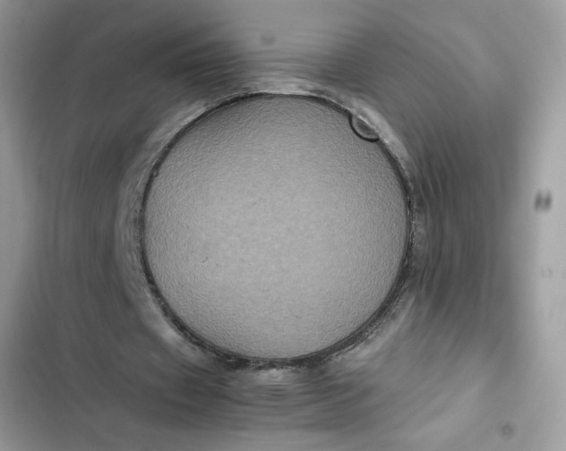 X0000102340433200808151731