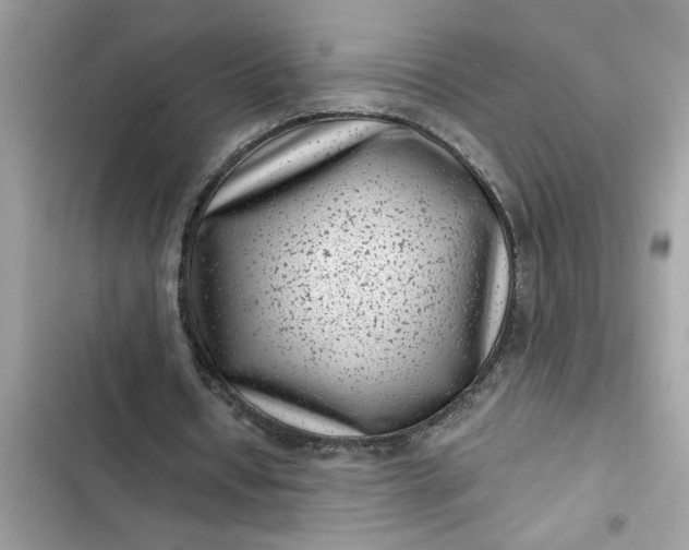 X0000102340434200808151731