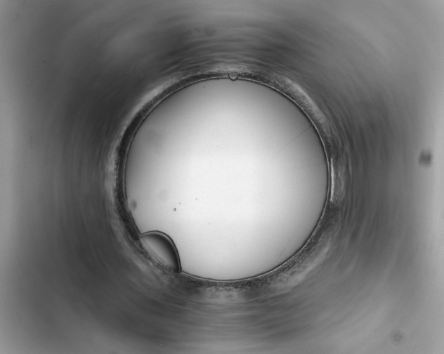 X0000102340435200808151731