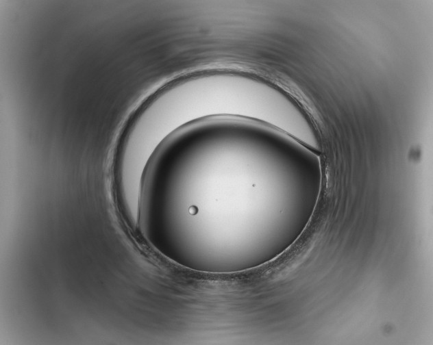 X0000102340436200808151731