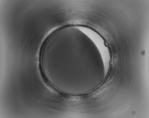 X0000102340438200808151731