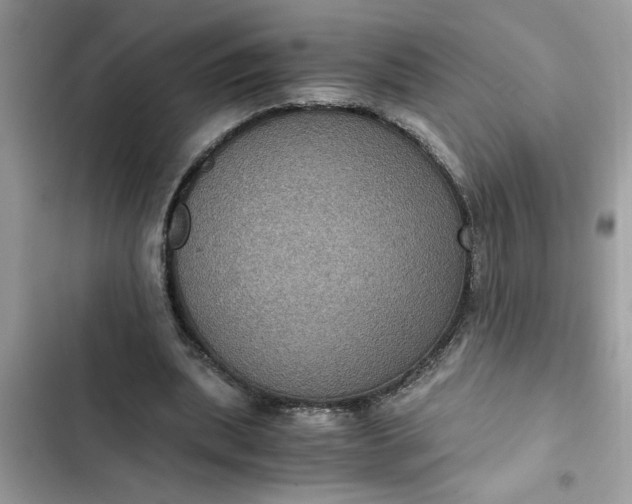 X0000102340439200808151731