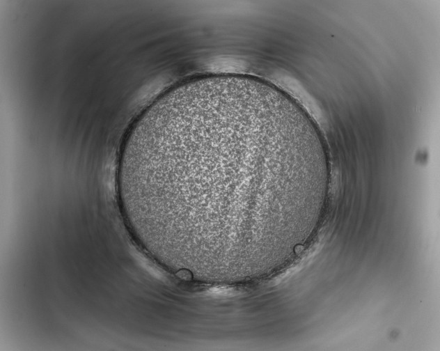 X0000102340441200808151731