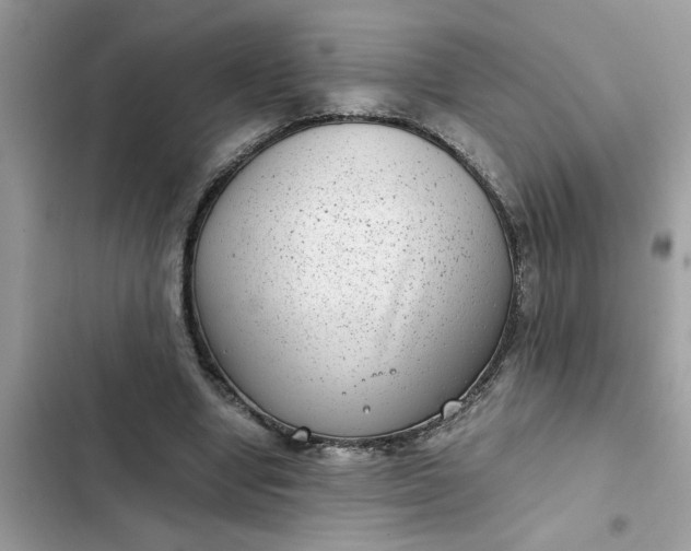 X0000102340442200808151731