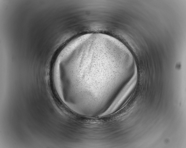 X0000102340443200808151731