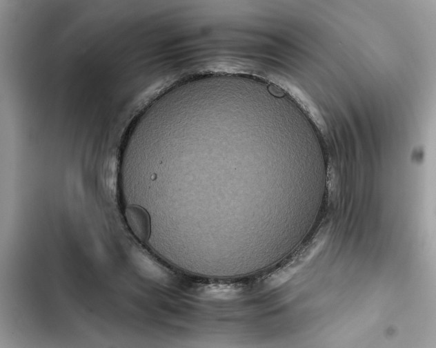 X0000102340445200808151731