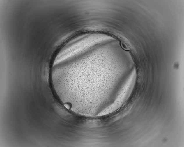 X0000102340446200808151731