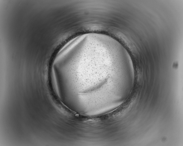 X0000102340447200808151731