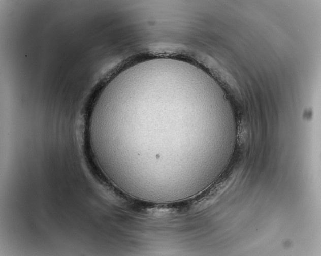 X0000102340448200808151731