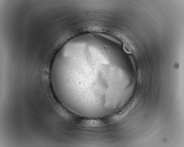 X0000102340449200808151731