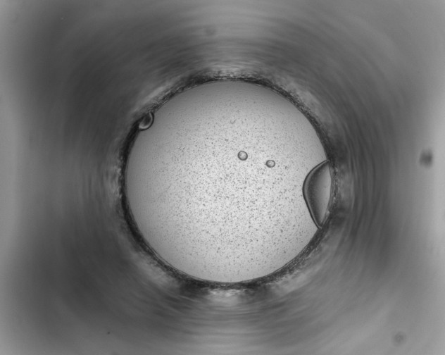 X0000102340450200808151731