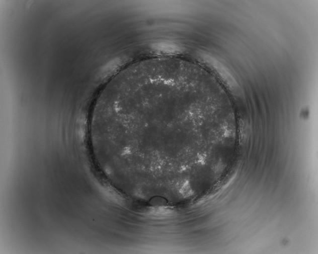 X0000102340451200808151731