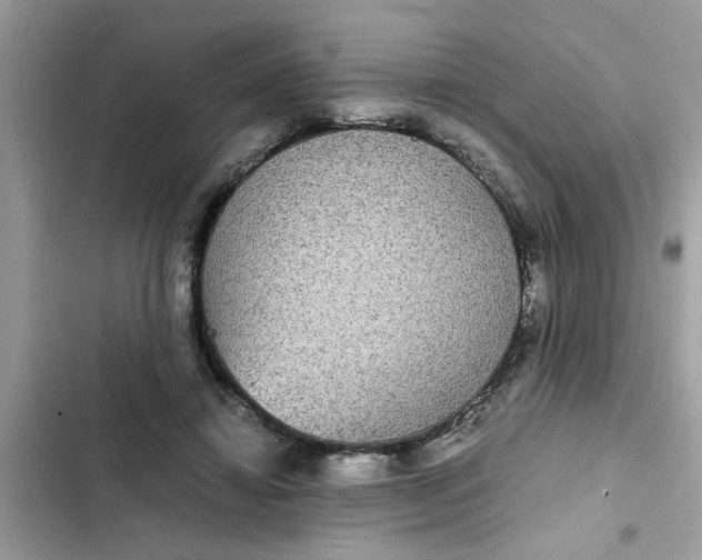 X0000102340452200808151731