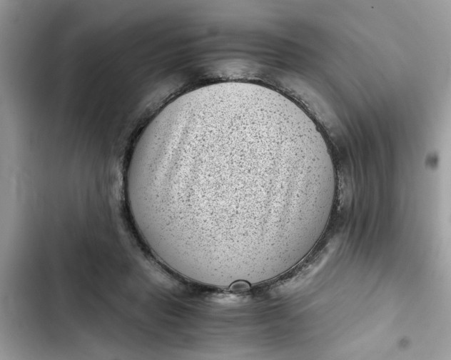 X0000102340453200808151731