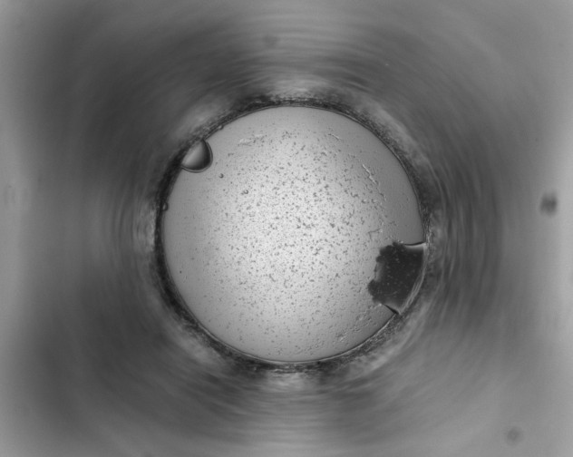 X0000102340454200808151731