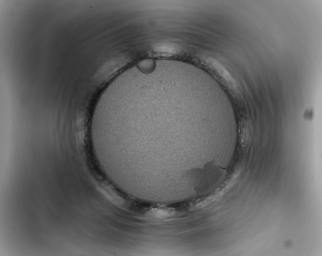 X0000102340455200808151731