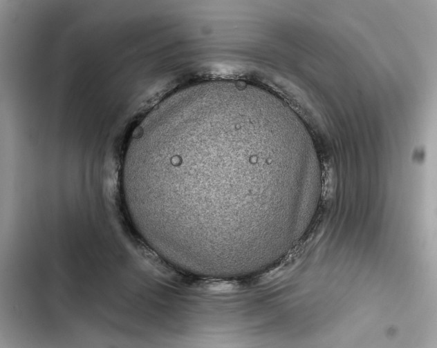 X0000102340456200808151731