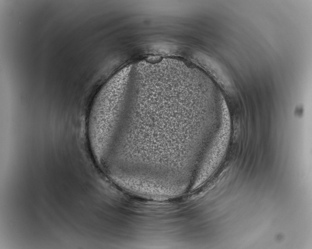 X0000102340457200808151731