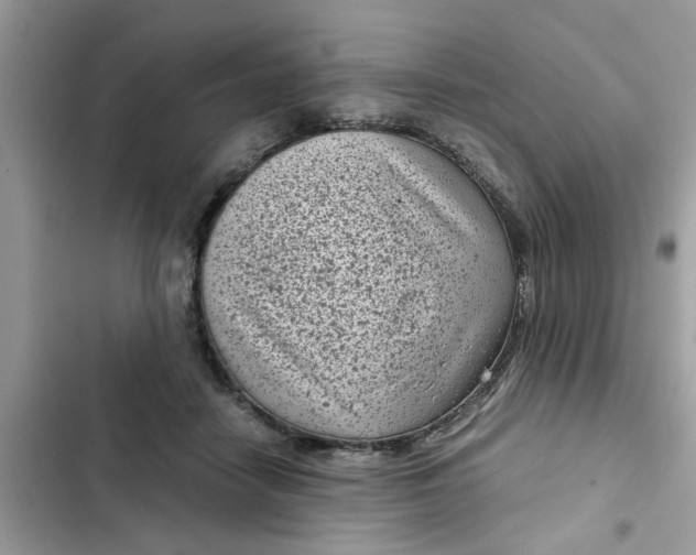 X0000102340458200808151731