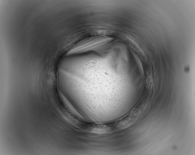 X0000102340459200808151731