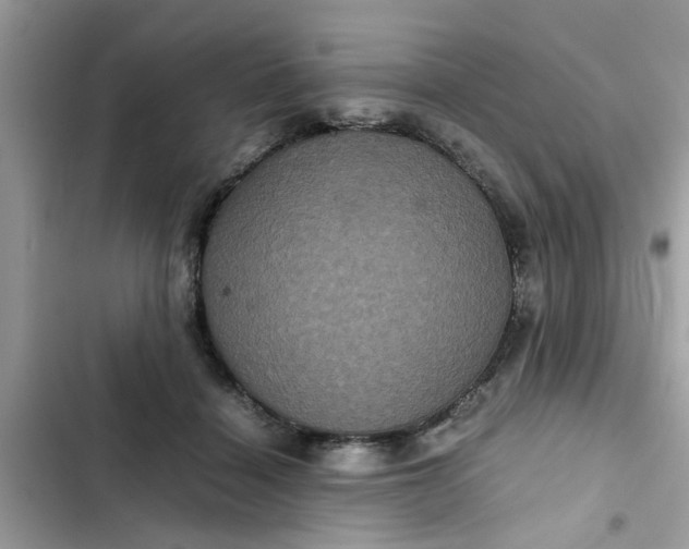 X0000102340460200808151731