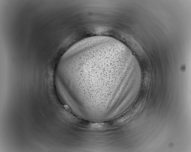 X0000102340461200808151731