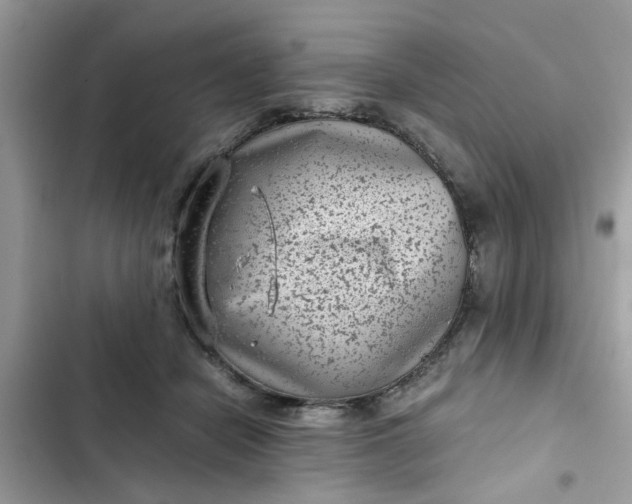 X0000102340462200808151731